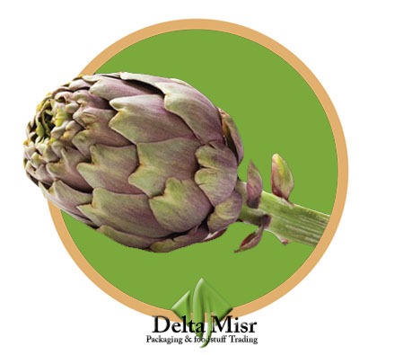 Artichoke